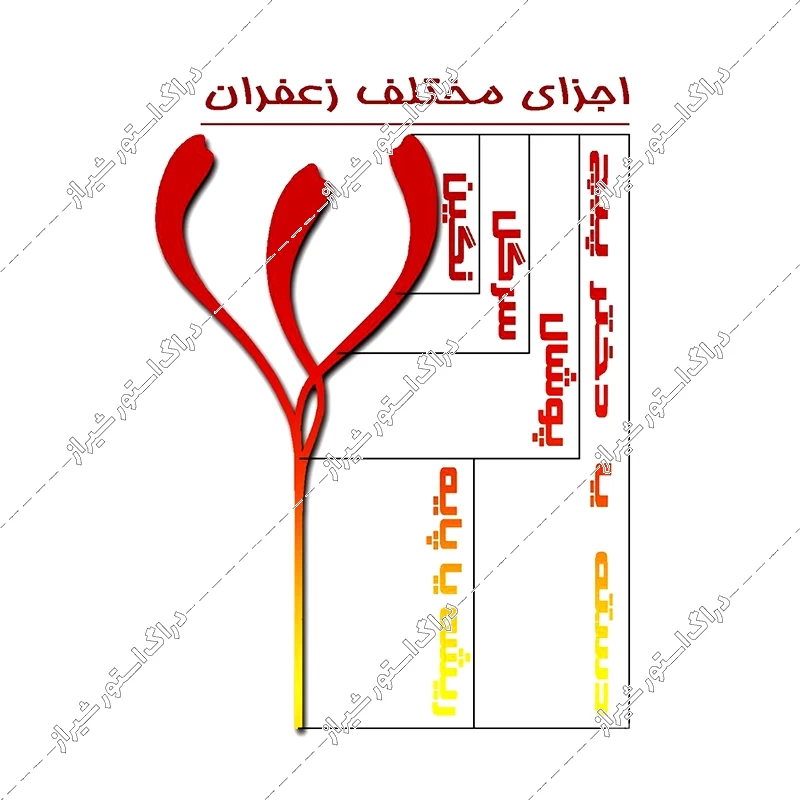 زعفران دختر پیچ 4 گرمی