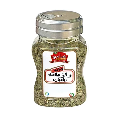 دانه رازیانه ضامن 100 گرم